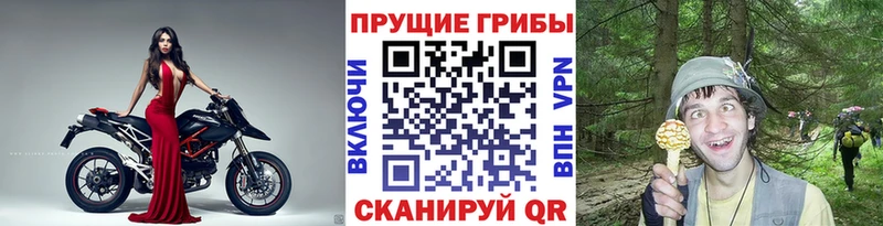 Галлюциногенные грибы Magic Shrooms  где купить   Прохладный 
